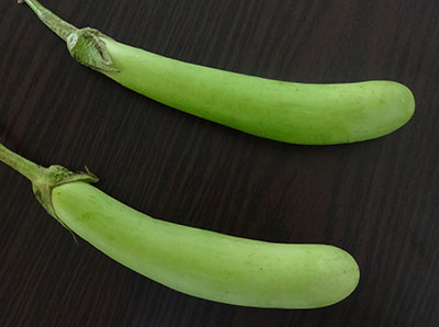 brinjal for badanekayi palya or brinjal onion stir fry