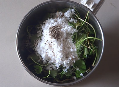 brahmi leaves and coconut for thimare thambli or brahmi thambli