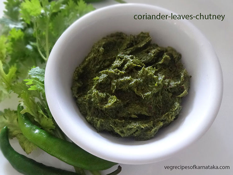 coriander leaves chutney or thokku