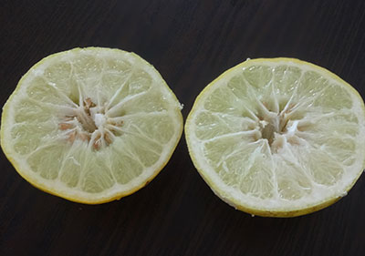 halved citron for heralekai gojju huli