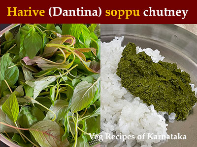 harive soppina chutney recipe