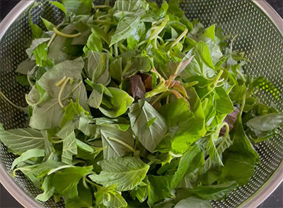 amaranthus leaves for harive soppina chutney or dantina soppu bajji