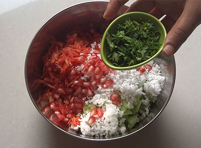 coriander leaves for hesarukalu kosambari or moong sprouts salad