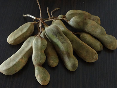 raw tamarind for hunasekai thokku or hunase thokku