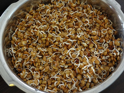 sprouted horse gram for huruli kalu bassaru