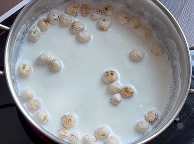 roasted lotus seeds for tavare beeja payasa or makhana kheer