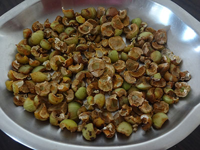 drying gooseberry pieces for amla powder or nellikai pudi