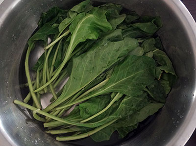 palak leaves for palak paratha or parota