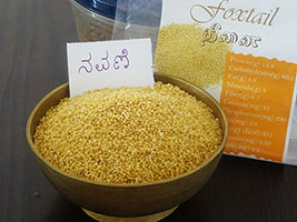 details about foxtail millet